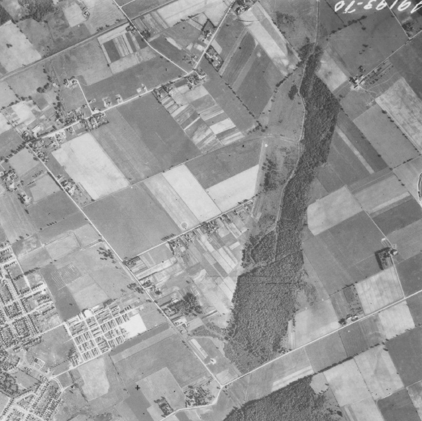 1945aerialstanleypark